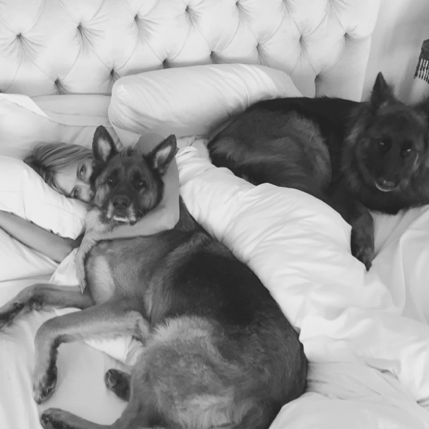 Heidi Klum erntet fiese Kommentare nach NacktBild mit Hund OK! Magazin