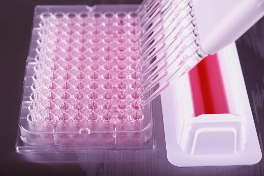 Viele der Schadstoffe lassen sich nur im Labor nachweisen. Auch wenn ein Spielzeug nicht nach Chemie stinkt, können die Grenzwerte der Schadstoffe deutlich überschritten sein.