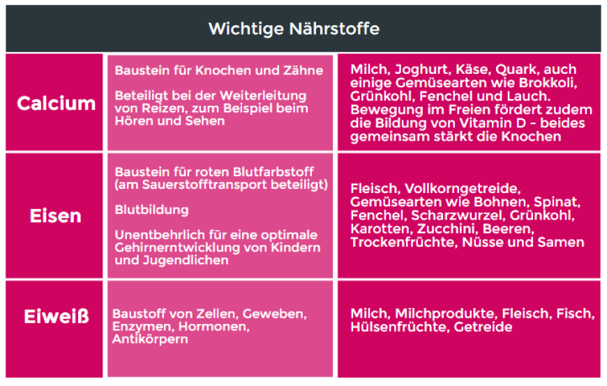 Eine ausgewogene Nährstoffversorgung unterstützt nicht nur das Wachstum, sondern auch die kognitiven Fähigkeiten und die motorische Entwicklung.