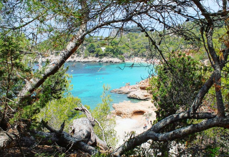 Cala Saladeta - Auch im Westen der Insel ist es wunderschön! Unbedingt z.B. über www.billiger-mietwagen.de ein Auto ausleihen und die Strände von Ibiza abklappern.