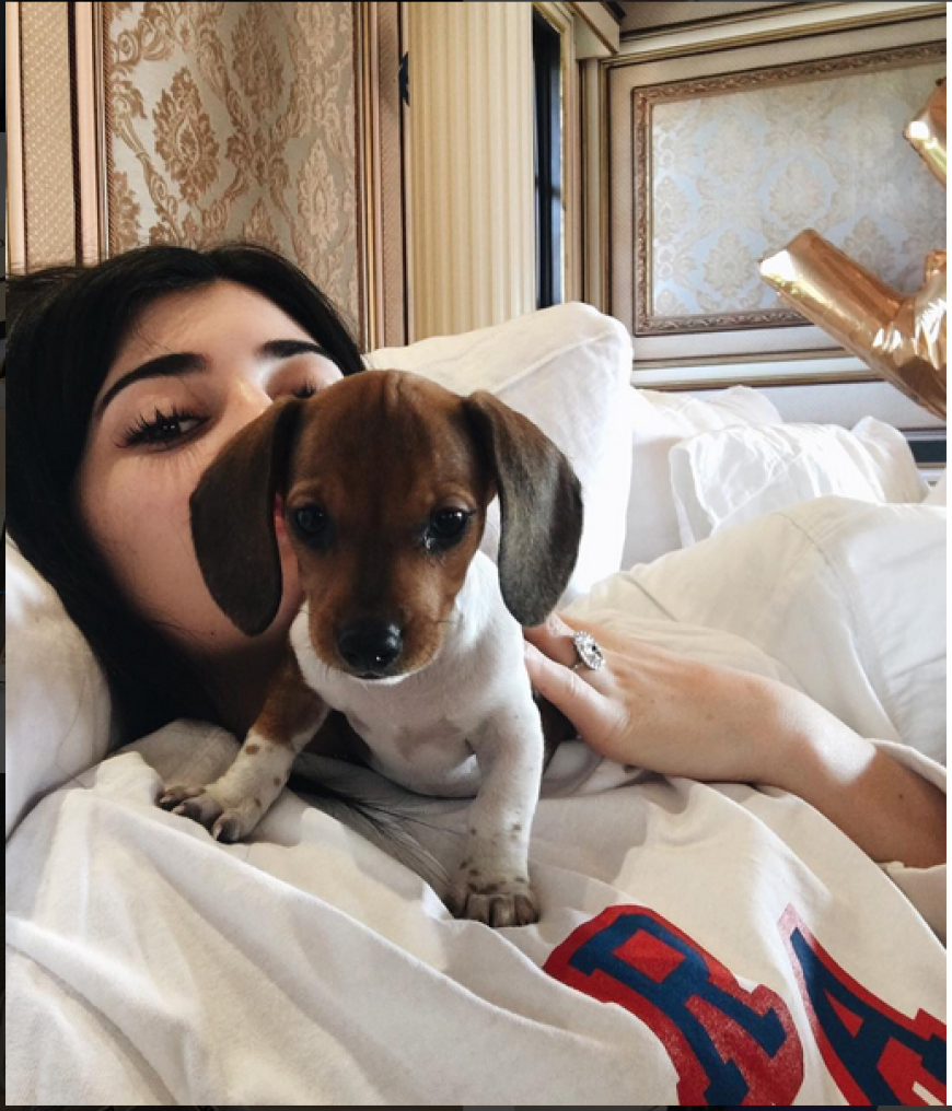 Sie ist die Neue im Hause Jenner. Dürfen wir vorstellen, das ist Penny, Kylies neuer Hund.
