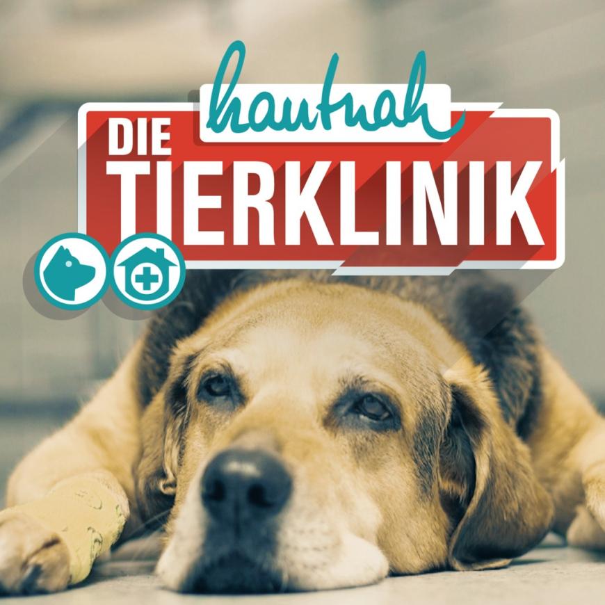 Ab dem 5. September geht