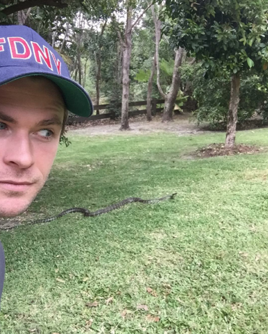 „Ich hänge hier mit den Locals in meinem Garten ab... das wahre Jurassic Park