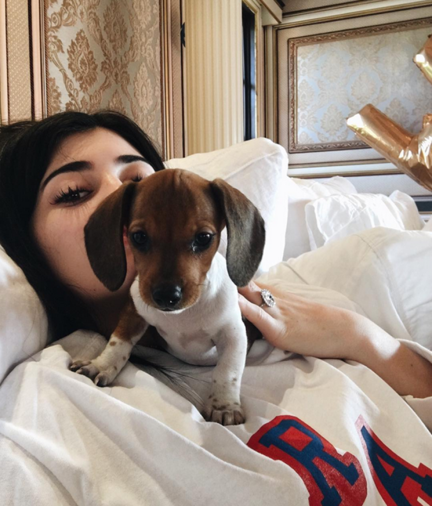 Kylie Jenner durfte sich über diesen süßen Familienzuwachs freuen. Welpe Penny war ein Geschenk ihrer Freunde und macht ihre Hunderasselbande komplett.