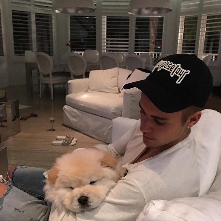 Justin Bieber kuschelt mit Welpe Todd.