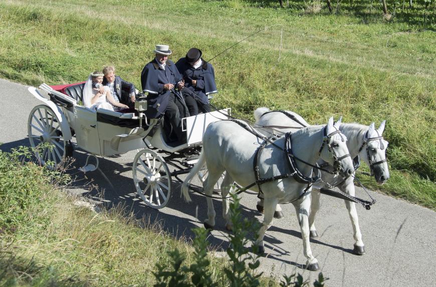 Nach der kirchlichen Trauung ging es ganz romantisch mit einer Pferdekutsche weiter zur Feier-Location.