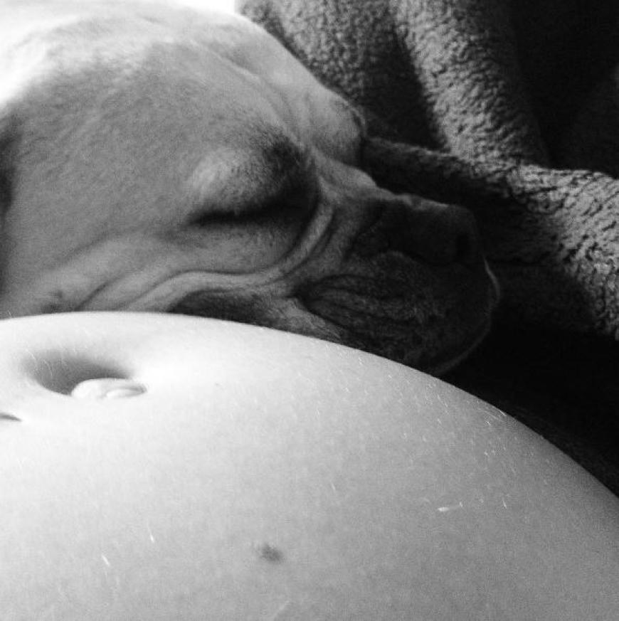 Auch ihr Hund scheint begeistert von Sara Kulkas zweiter Schwangerschaft.