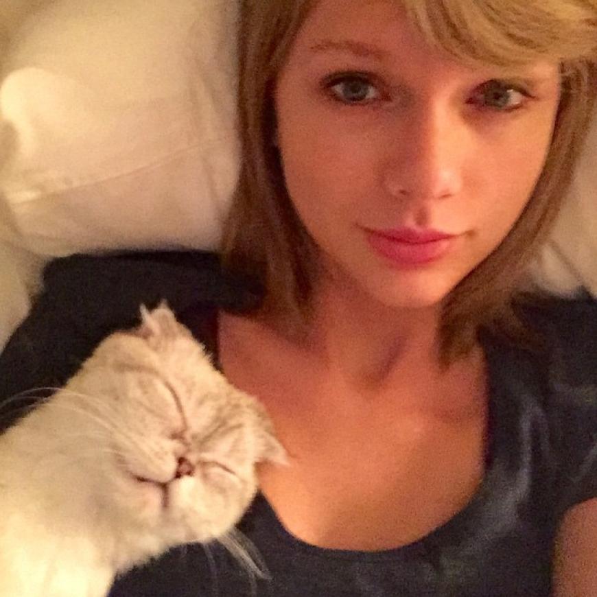 Crazy Cat Lady? Taylor Swift steht dazu!