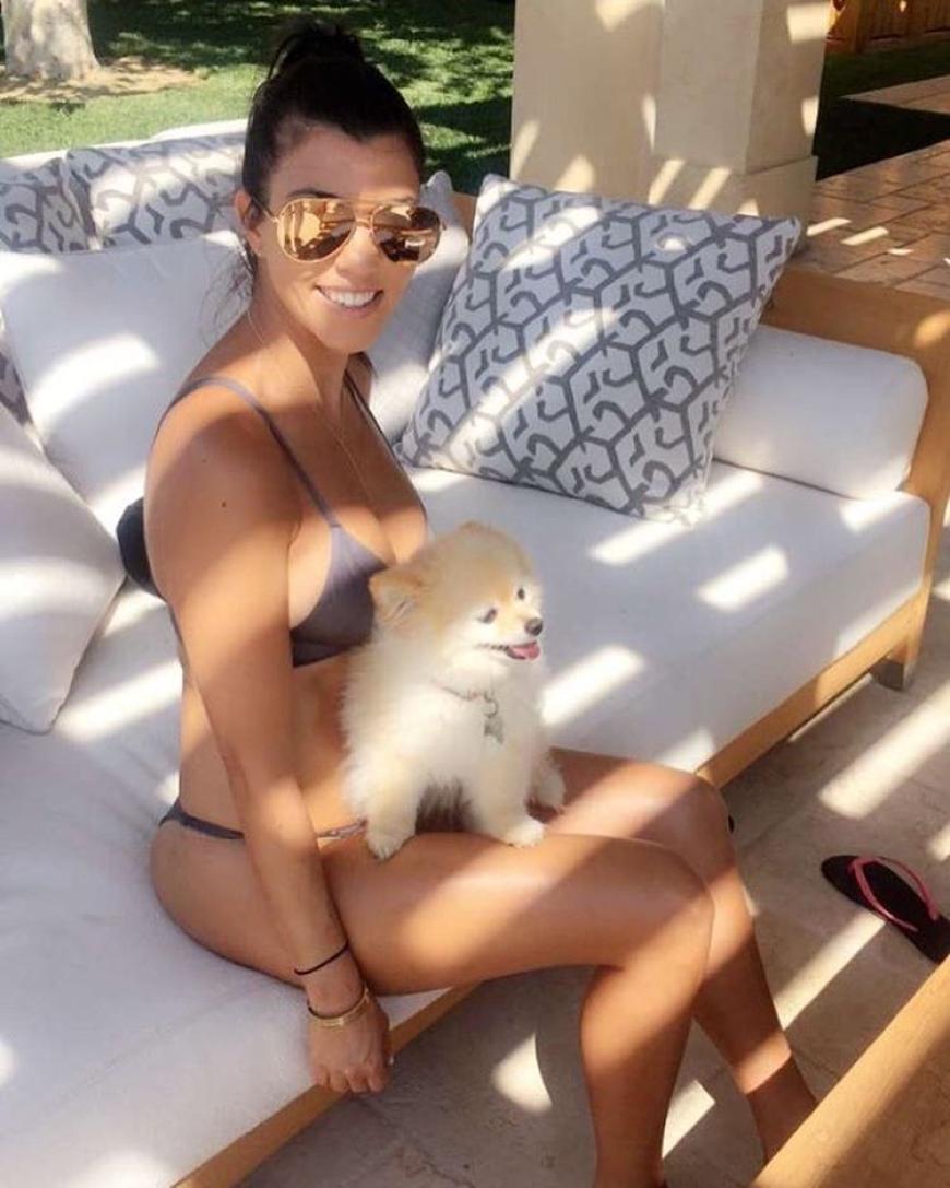 Auch Kourtney Kardashian liebt ihr kleines Fellknäuel abgöttisch