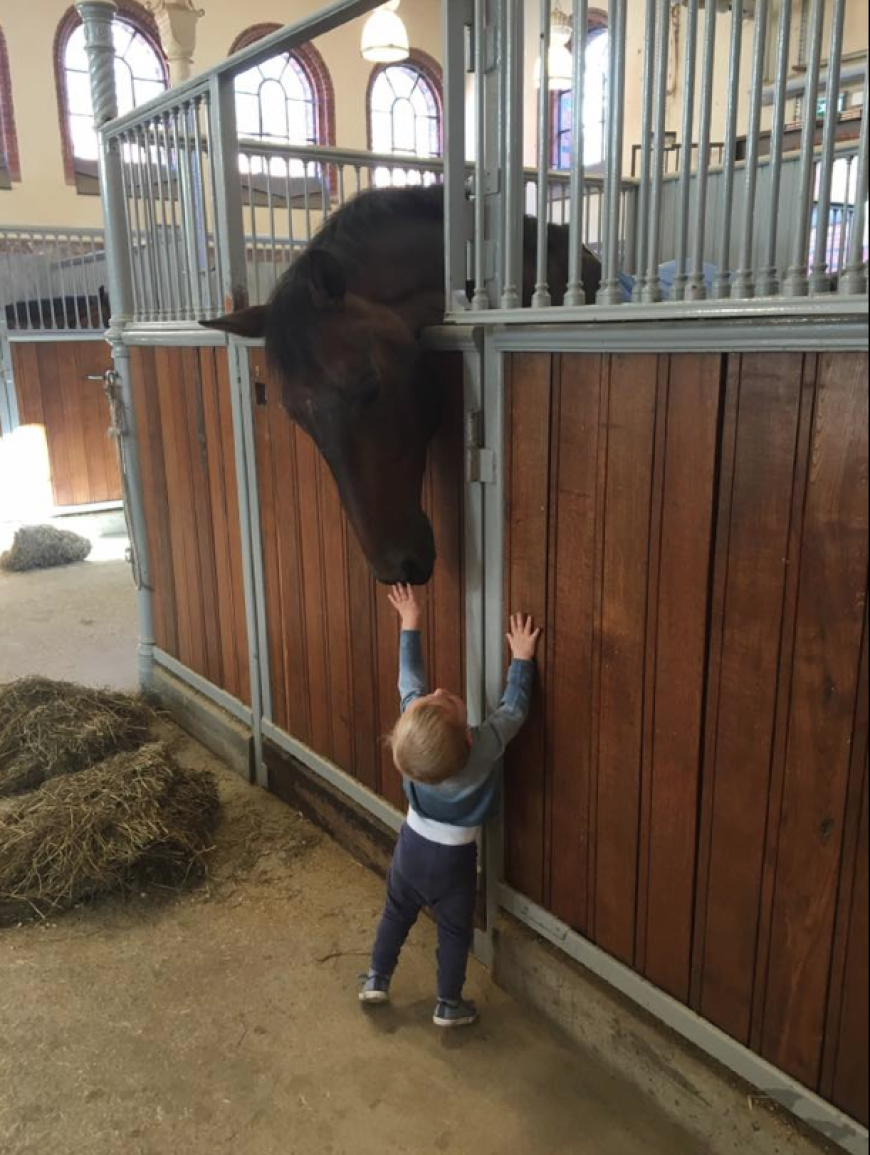 „Love at first sight