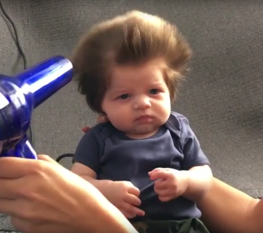 Der kleine Junior Cox-Noon erobert als "Babybär" das Netz