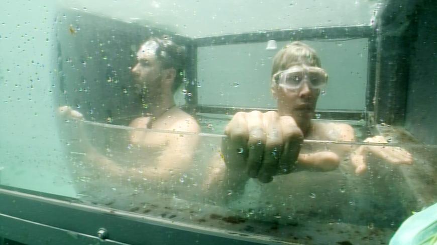 Ingesamt sechs Sterne pro Team sind in mehreren Unterwasserkammern versteckt - zusammen mit ein paar netten australischen Wassertierchen. Diese müssen mit dem Mund abgeschraubt und einzeln in die erste Kammer transportiert werden. Wer zuerst alle Sterne gesammelt hat, gewinnt.