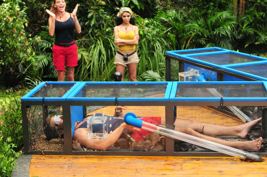 Nicht nur Gina-Lisa ist ganz verzückt von GNTM-Ex Alexander Keen - während der Dschungelprüfung machte es sich auch eine Ratte auf seinem äh