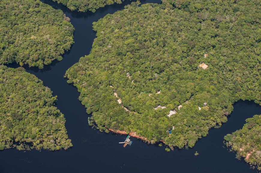 Brasilien ist bekannt für seinen Dschungel und das tropische Klima.