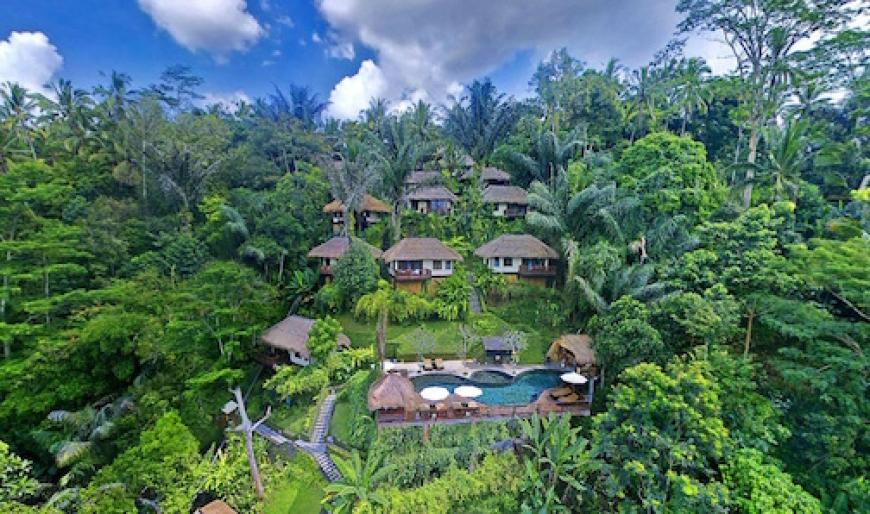 Hier wären wir jetzt gerne, im indonesischen Dschungel.