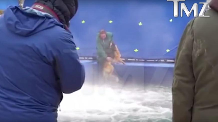Der völlig verängstigte Schäferhund versucht zu fliehen, wird schließlich jedoch ins Wasser geschmissen. Der Vorwurf lautet nun Tierquälerei, gegen einzelne Mitglieder der Filmcrew soll bereits ermittelt werden. Der Filmstart wurde bis auf Weiteres gestoppt.