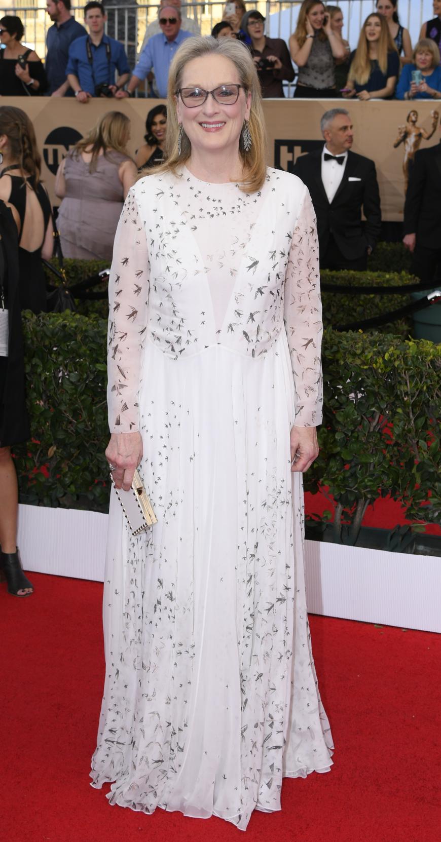 Während bei anderen Gästen der SAG Awards die Blätter fallen und die Blumen verwelken, wollen die Vögel auf Meryl Streeps Kleid einfach nur weg - wir auch. Eine echte Natur-Katastrophe...