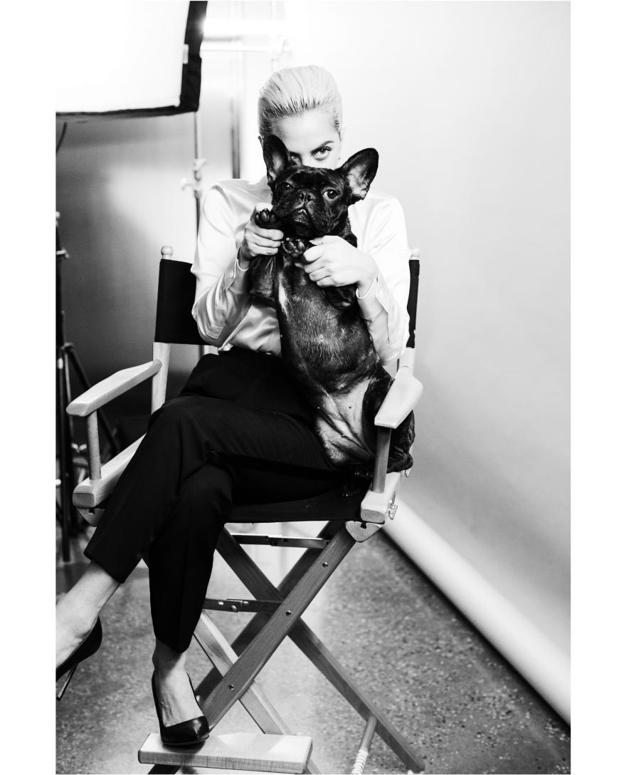 Lady Gaga schmückt sich nicht nur gern mit Juwelen, auch Hunde liebt das Testimonial von Tiffany & Co.