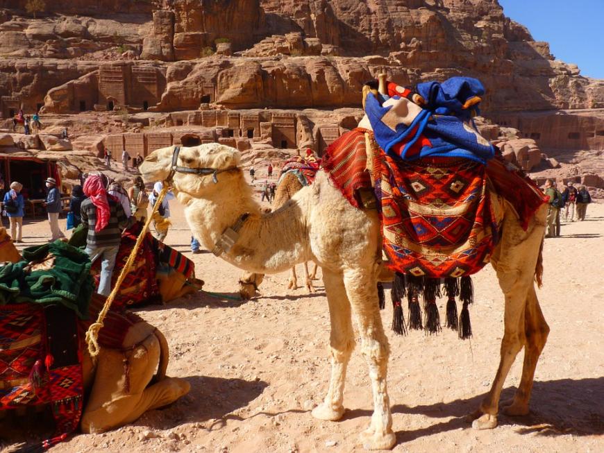 In der 4. Staffel 2014 konnte sich Christian Tews auf drei wirklich atemberaubend schöne Dream-Dates freuen. Mit Susi verbrachte er die Zeit in Jordanien auf Wolke 7. Zuerst konnten sie während einer romantischen Heißluftballonfahrt einen unglaublichen Ausblick genießen. Anschließend ritten sie mit Kamelen auf den Dünen und zu guter letzt gab es ein Abendessen in der Wüste.
Tipp: Wer es abenteuerlustig mag, ist im Wadi Mujib gut aufgehoben. Die Naturlandschaft ist dem Grand Canyon sehr ähnlich. Zudem ist es der tiefst gelegene Nationalpark der Welt. Im Tal gibt es auch heiße Quellen, denen eine heilende Wirkung nachgesagt wird.