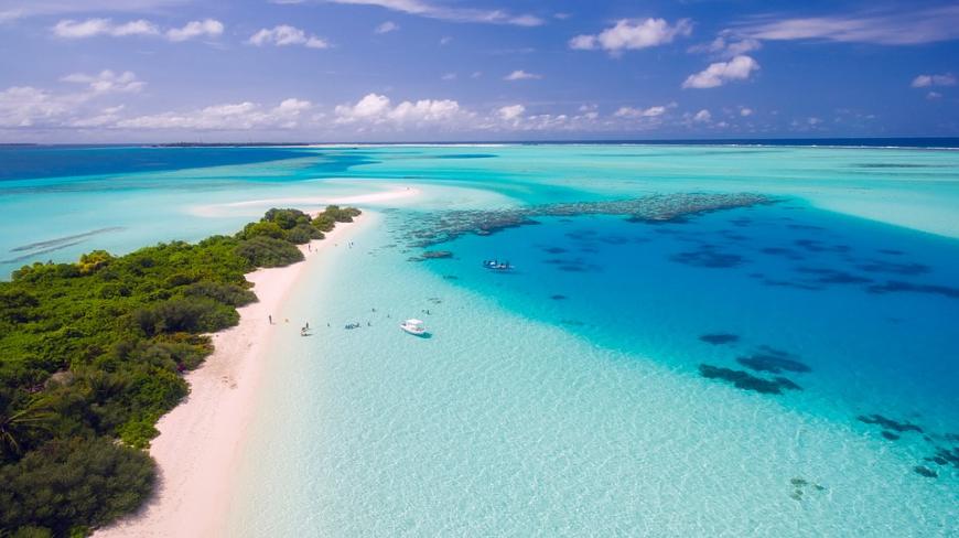 Nein! Angelina bekam von Christian Tews nicht die letzte Rose, sondern Katja. Katja spielte mit ihrem Charme bei dem Dream-Date auf einer Luxusyacht auf den Malediven und verdrehte Christian den Kopf.
Tipp: Wer etwas Abwechslung am Abend möchte, sollte bei einem der sehr beliebten Krabbenrennen vor Ort mitmachen. Ja, ihr habt richtig gelesen. Auf den Malediven ist das eine beliebte Abendunterhaltung. Dabei setzt man auf eine beliebige Krabbe und hofft, dass diese am Ende zuerst ins Ziel kommt.