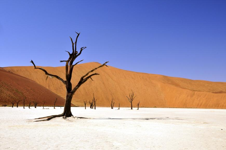In der dritten Staffel 2013 suchte das Model Jan Kralitschka nach seiner Traumfrau. Um die Richtige zu finden, flog er mit den drei letzten Ladys in drei sehr unterschiedliche Länder. Mit Mona flog er nach Namibia in die Wüste. Die erste Nacht zu zweit verbrachten sie dabei unter dem freien Sternenhimmel.
Tipp: Ein unvergessliches Vergnügen: Kuschelt auf einer Bootstour in der Bucht von Walvisbay mit Robben und entdeckt Delphine.