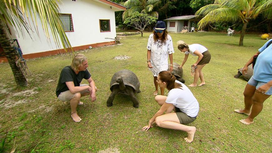 ... und gehen dabei auf Tuchfühlung mit Schildkröten.