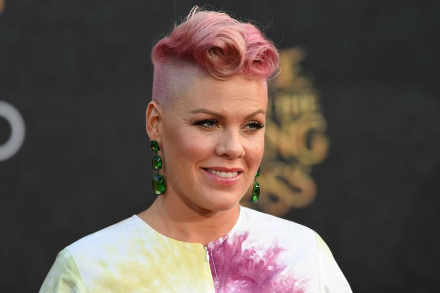 Pink genießt jede freie Minute mit ihrem Sohn Jameson Moon. Natürlich auch den