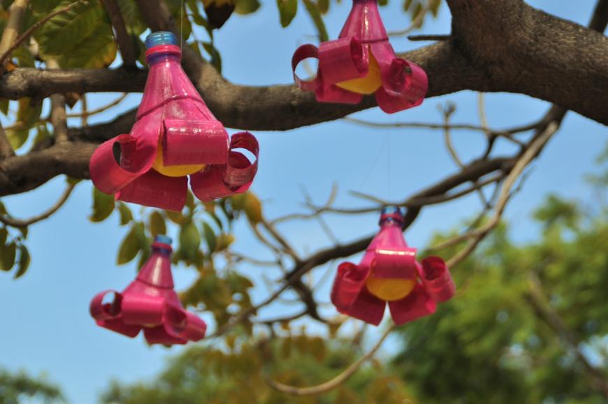 Blüte oder Plastik – das ist hier die Frage.
