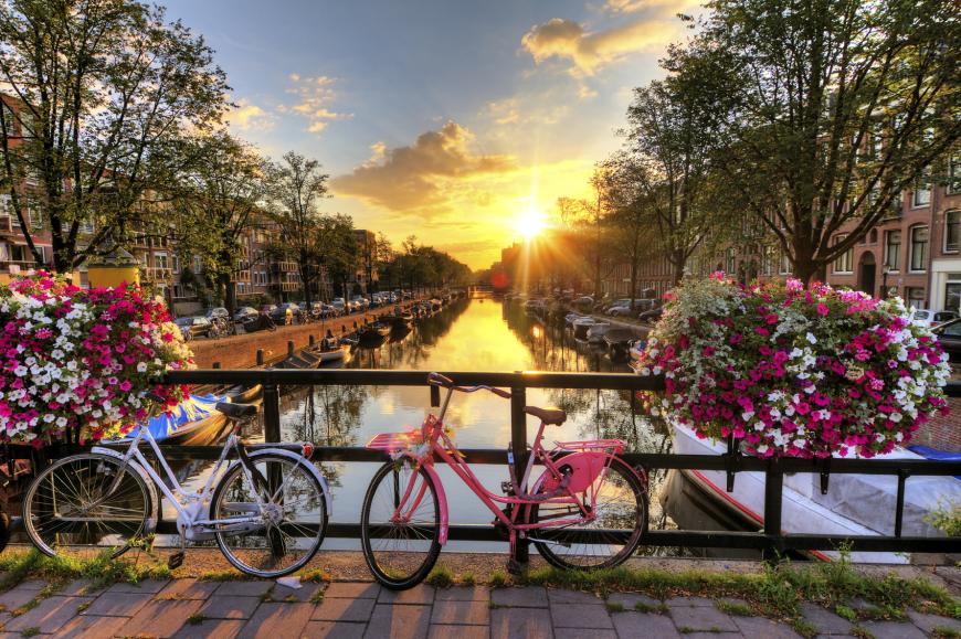 Gibt es eine bessere Zeit, um Amsterdams einzigartiges Flair zu entdecken, als die Tulpenblüte? Es erwarten dich schmale Häuser, Fahrräder, hübsche Grachten, berühmte Museen und ein Pilsje im Freien.