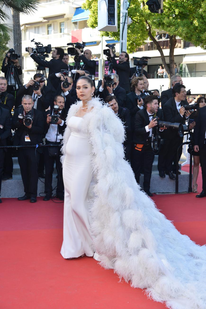 Araya Hargate ist eine thailändische Schauspielerin, die in einem imposanten Schneekönigen-Kleid zur Eröffnung der Filmfestspiele 2017 in Cannes erschien.