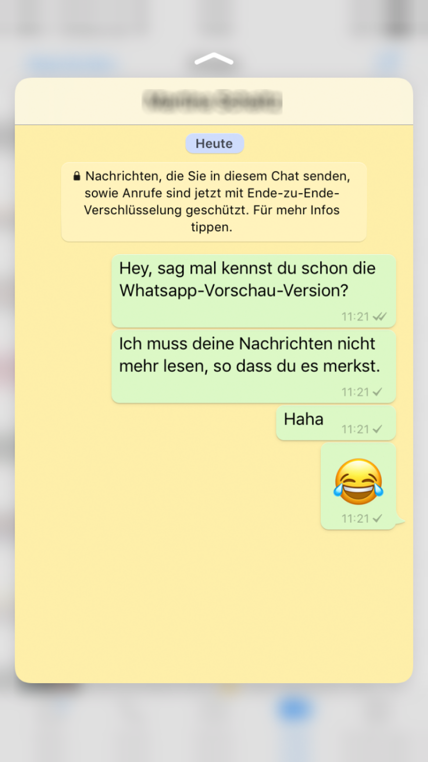 So sieht die Vorschau-Ansicht bei WhatsApp aus, der Hintergund wird durch Gedrückthalten des Chats unscharf.