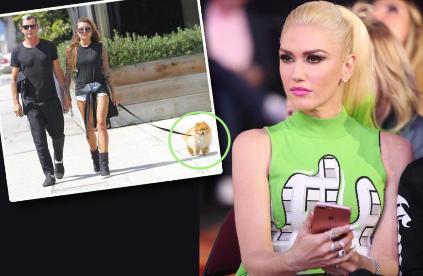 Vergangene Woche sorgten die Bilder, die Gavin Rossdale (l.) und Sophia Thomalla händchenhaltend in Los Angeles zeigen, für Wirbel. Nun fällt ein weiteres Detail ins Auge: Der Hund, den Sophia da an der Leine führt, gehört Gavin und Gwen Stefani (r.) gemeinsam - und die tobt!