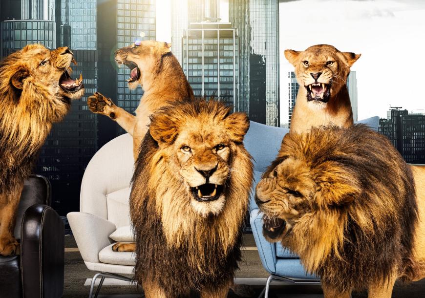 Welche Löwen sind dieses Jahr in der Jury? Auf der nächsten Seite gibt es das offizielle Bild der fünf Investoren...