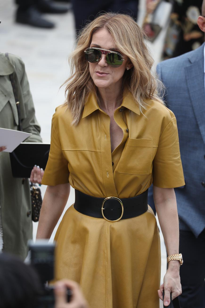 Céline Dion macht eine persönliche Krise durch. Im vergangenen Januar hatte sie sowohl ihren Mann als auch ihren Bruder Daniel an Krebs verloren.