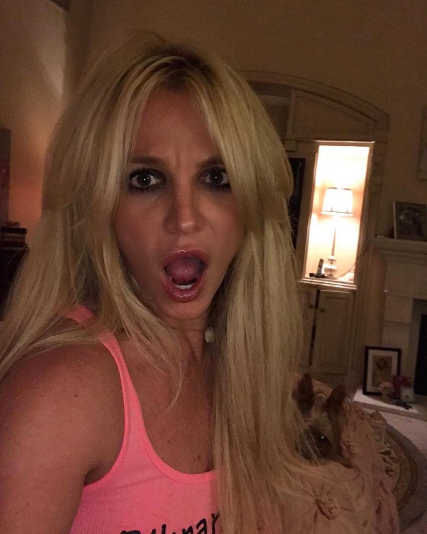 Das hat sie wohl selbst überrascht: Ein von Britney Spears gemaltes Bild wurde für 10.000 Dollar versteigert.