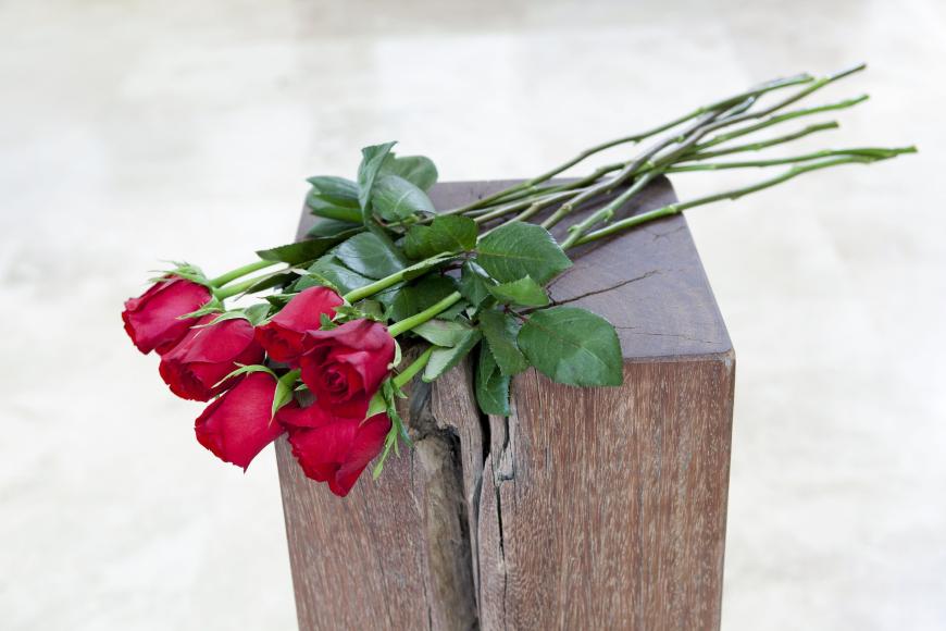 Wer verteilt ab Januar 2018 wieder Rosen? Der Bachelor!