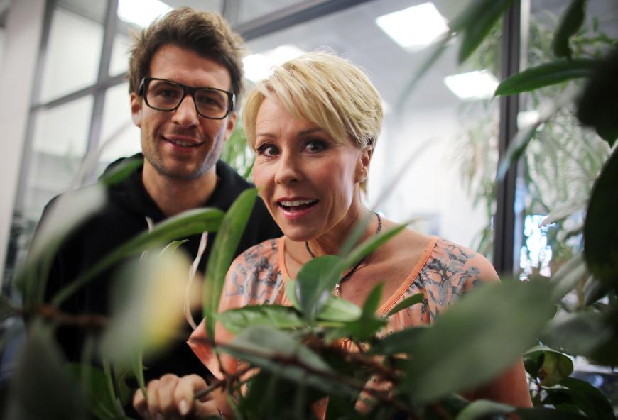 Die neue Staffel vom Dschungelcamp startet in wenigen Wochen. Erste Kandidaten sollen bereits feststehen