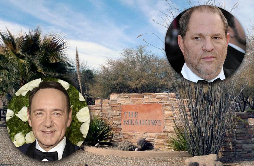 Die "Meadows"-Entzugsklinik inmitten der Wüste Arizonas ist bei den Hollywood-Stars eine beliebte Adresse.