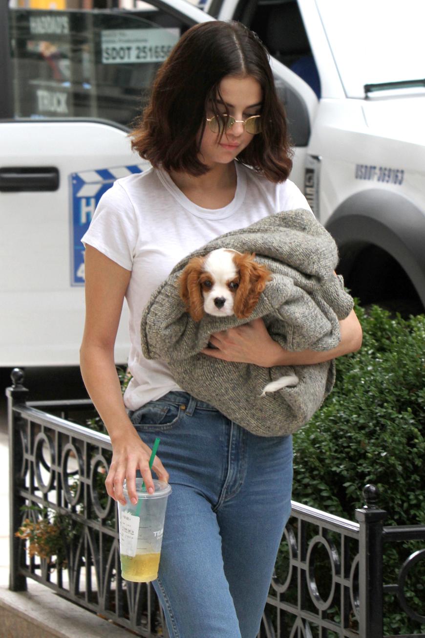 Selena Gomez will ihren Welpen Charlie nicht verlieren. Sie und ihr Ex The Weeknd schafften sich den Hund vor wenigen Monaten an.