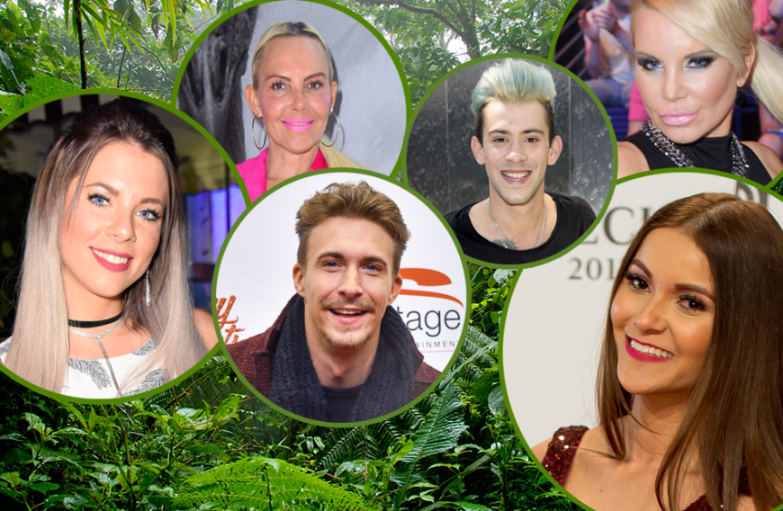 Jenny Frankhauser, Natascha Ochsenknecht, David Friedrich, Daniela Negroni, Kattia Vides und Tatjana Gsell haben im "Dschungelcamp" 2018 schon ihre festen Rollen. 