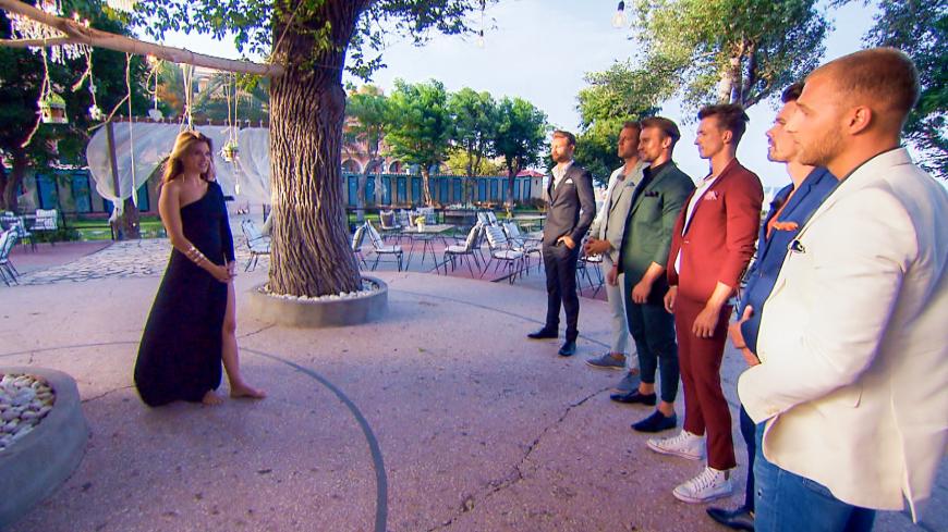 Einer der sechs Rosenkavalliere verlässt die Show freiwillig - wer ist es?