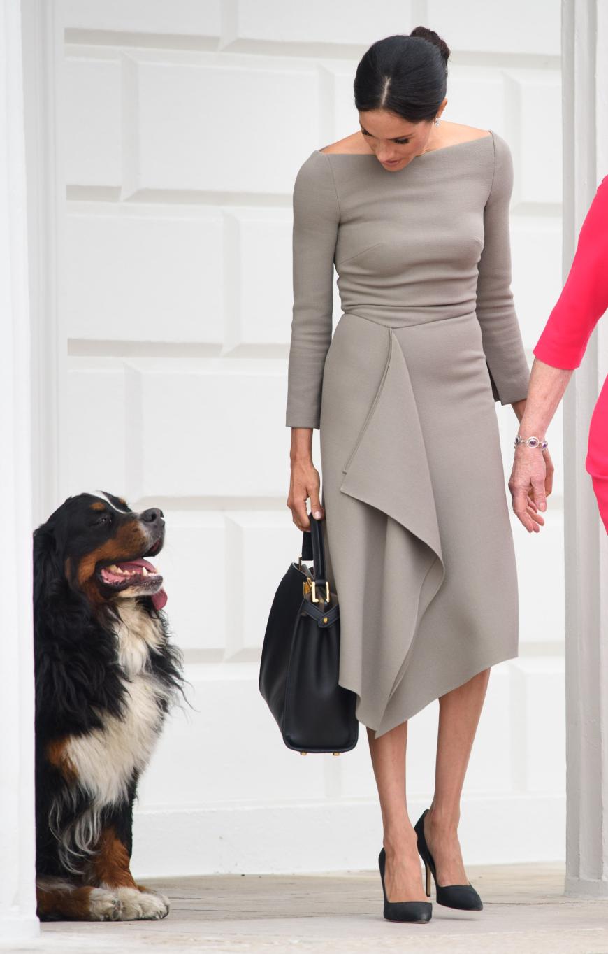 Herzogin Meghan steckt im Hunde-Dilemma, behaupten Palast-Insider.