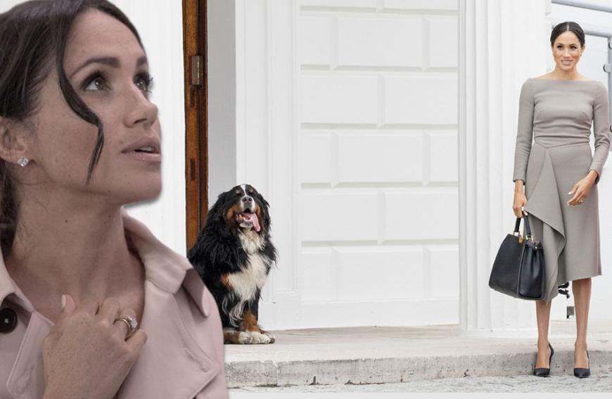 Die Herzogin von Sussex liebt Hunde (wie den Hund des irischen Präsidenten Brod, mit dem sie sich in Dublin gleich anfreundete). Doch ausgerechnet ihre eigenen Vierbeiner verstehen sich nicht ...