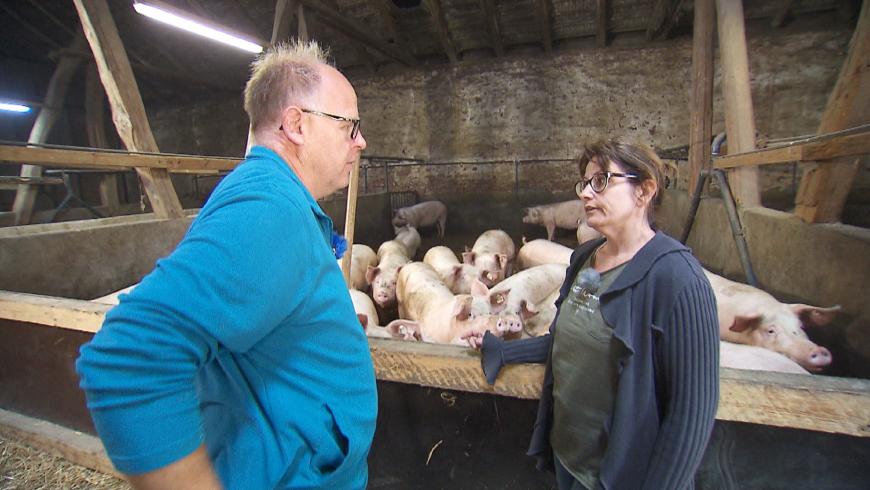 Bei Claus und Heike eskalierte ein Streit im Schweinestall - die Hundetrainerin trat die Heimreise an.