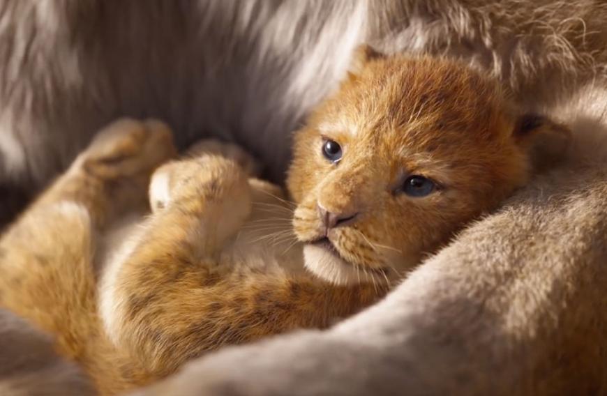 Das sind die ersten Bilder der Realverfilmung von Disneys