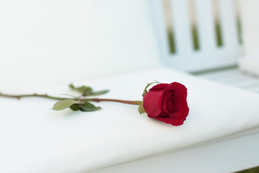Wer ist der neue Bachelor?
