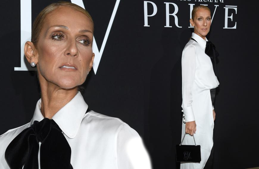 Traurig: Céline Dion ist nur noch ein Schatten ihrer selbst.
