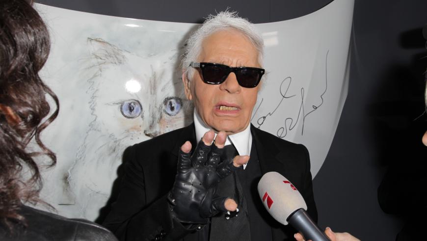 Choupette war Social-Media-Star, posierte für Kalender, Magazine - und bekam eine eigene Kollektion gewidmet.
