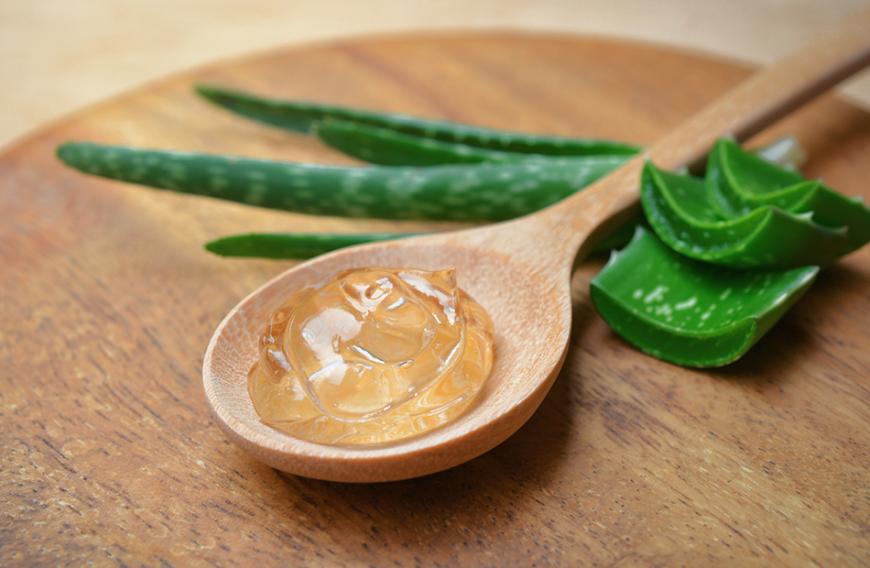 Ein wahres Wundermittel ist Aloe Vera, die Unreinheiten und Rötungen bekämpft.