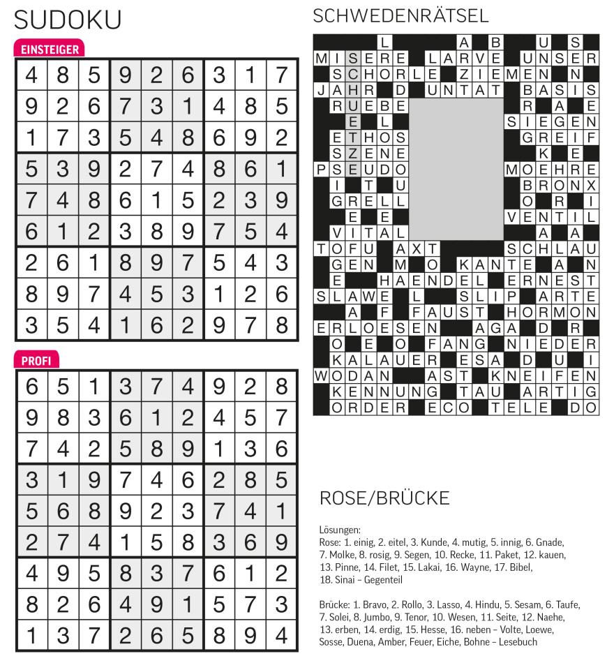 Sudoku- und Rätselauflösung - Bild 43